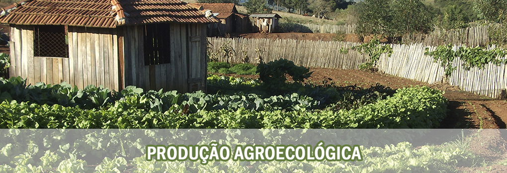 Produção agroecológica