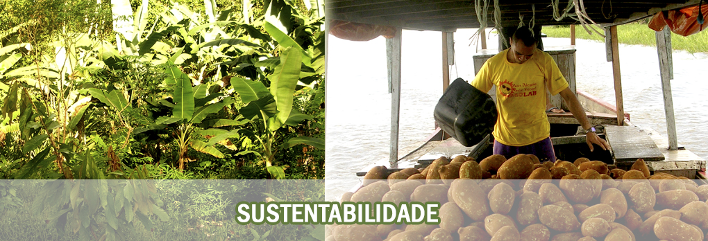 Sustentabilidade