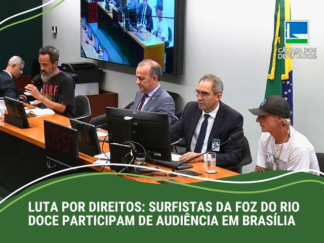 Audiência_dos_surfitas_LN-ES