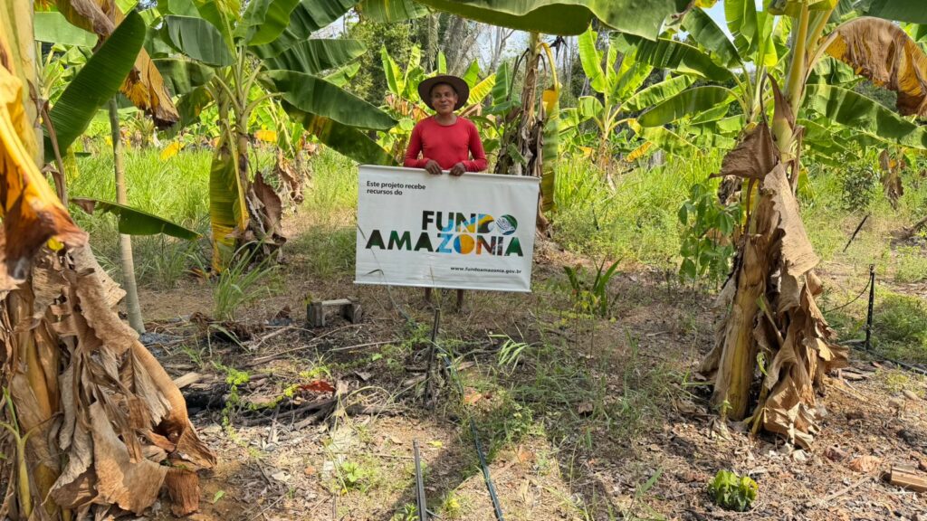 Mudas de açaí e mogno serão integradas com outras espécies para recuperar a área, fortalecendo a produção e ampliando o potencial da propriedade.